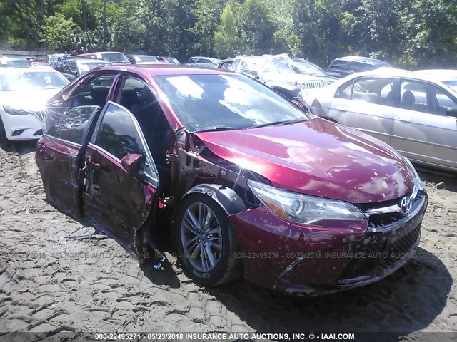 4T1BF1FK0GU595047 - 2016 TOYOTA CAMRY LE/XLE/SE/XSE RED photo 1