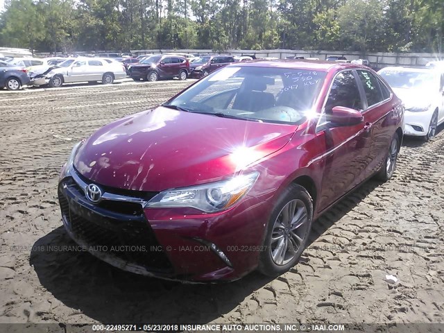 4T1BF1FK0GU595047 - 2016 TOYOTA CAMRY LE/XLE/SE/XSE RED photo 2