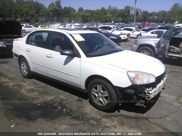 1G1ZT54825F290637 - 2005 CHEVROLET MALIBU LS თეთრი ფოტო 1