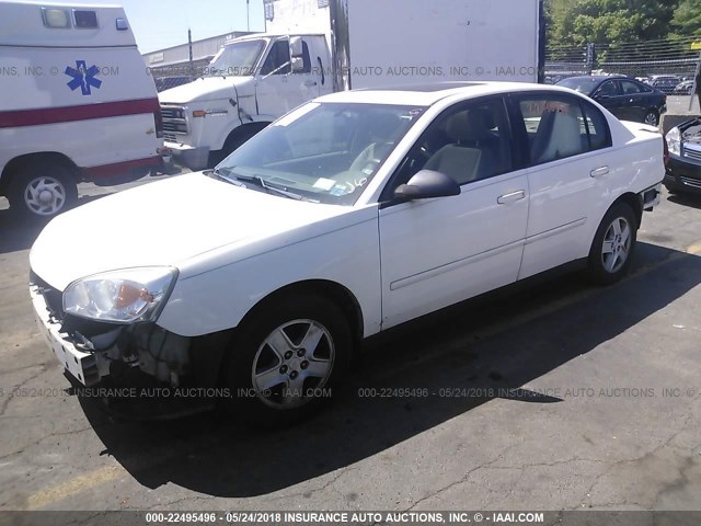 1G1ZT54825F290637 - 2005 CHEVROLET MALIBU LS თეთრი ფოტო 2