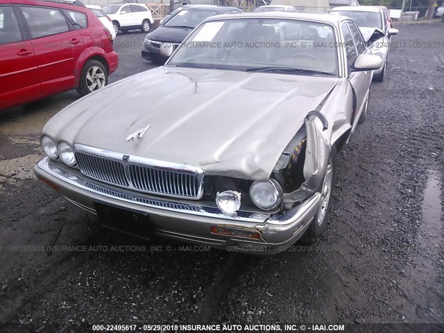 SAJHX1744TC759896 - 1996 JAGUAR XJ6 GOLD photo 6