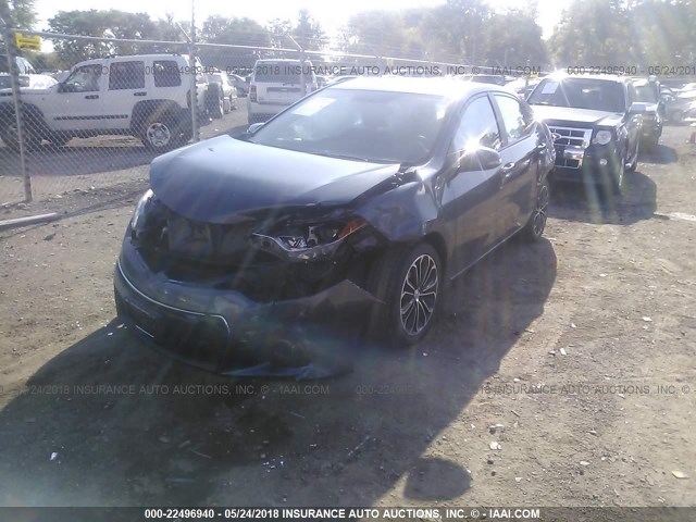 5YFBURHE0FP256266 - 2015 TOYOTA COROLLA L/LE/LE PLS/PRM/S/S PLS BLUE photo 2