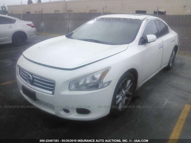 1N4AA5AP6CC849553 - 2012 NISSAN MAXIMA S/SV WHITE photo 2