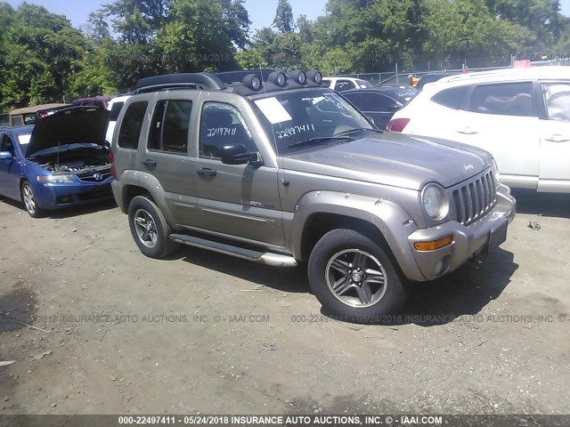 1J4GL38K33W735614 - 2003 JEEP LIBERTY RENEGADE GOLD photo 1