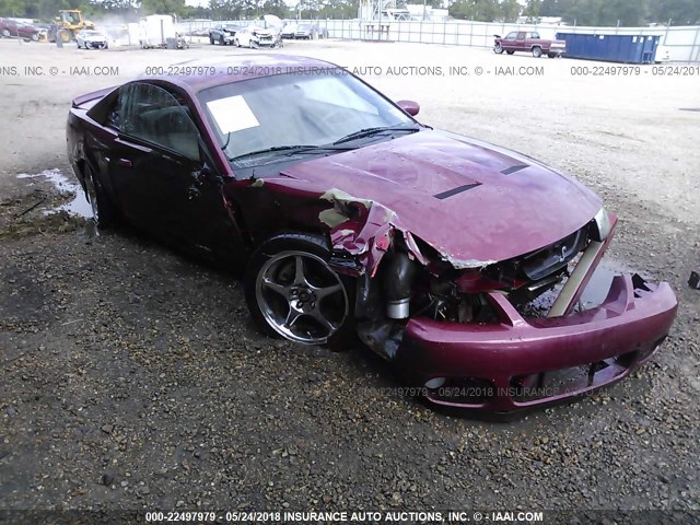 1FAFP48Y73F319796 - 2003 FORD MUSTANG COBRA SVT RED photo 1