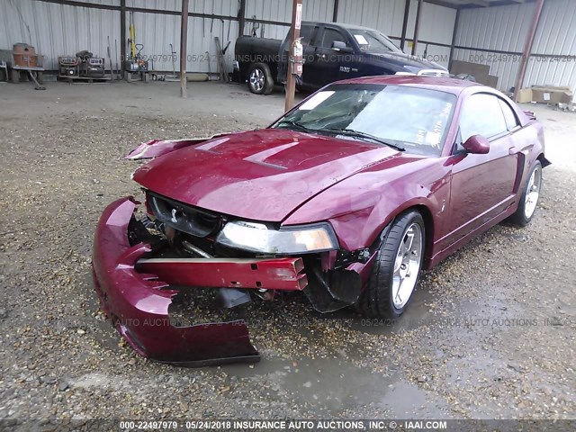 1FAFP48Y73F319796 - 2003 FORD MUSTANG COBRA SVT RED photo 2