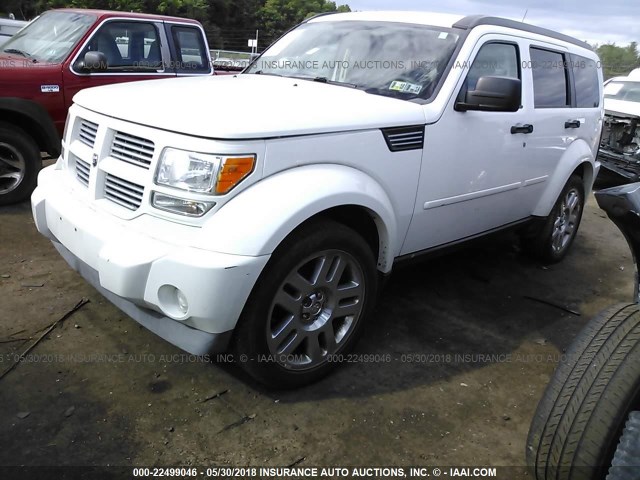 1D4PU4GK8BW517387 - 2011 DODGE NITRO HEAT WHITE photo 2