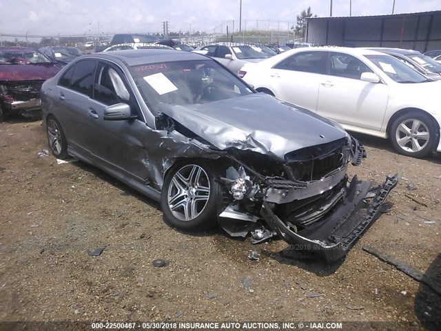 WDDGF8BBXAF477484 - 2010 MERCEDES-BENZ C 300 4MATIC GRAY photo 1