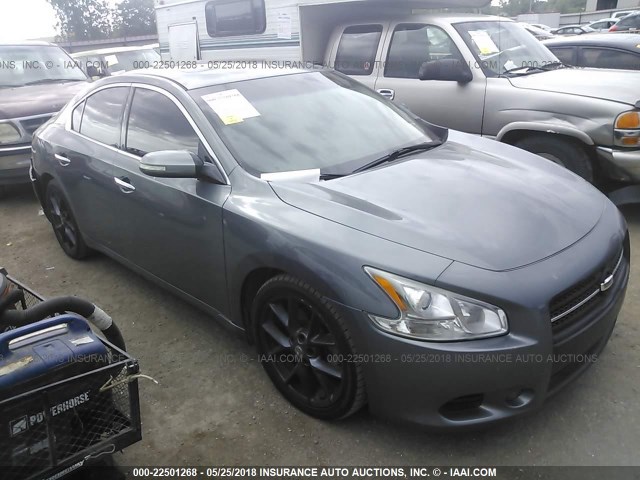 1N4AA5AP3AC800808 - 2010 NISSAN MAXIMA S/SV GRAY photo 1