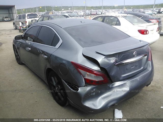 1N4AA5AP3AC800808 - 2010 NISSAN MAXIMA S/SV GRAY photo 3