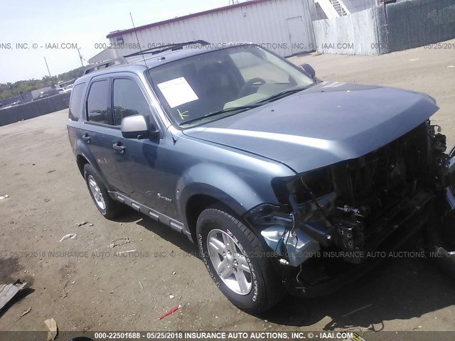 1FMCU5K37AKC24535 - 2010 FORD ESCAPE HYBRID GREEN photo 1