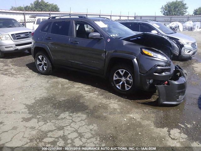1C4PJMBB4JD567548 - 2018 JEEP CHEROKEE TRAILHAWK 灰色 照片 1