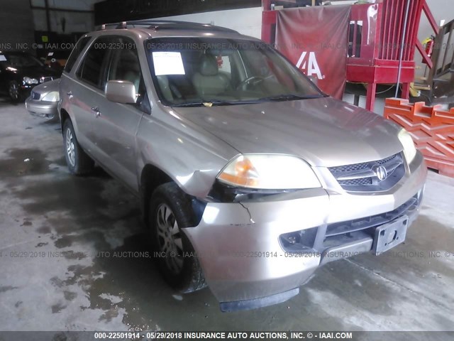 2HNYD18693H531004 - 2003 ACURA MDX TOURING TAN photo 1