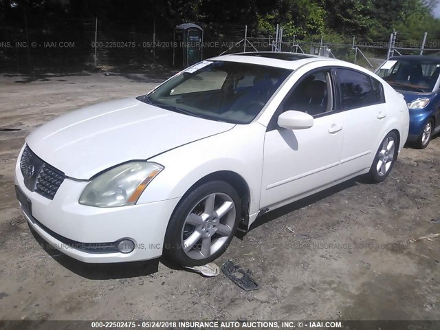 1N4BA41E14C827765 - 2004 NISSAN MAXIMA SE/SL WHITE photo 2