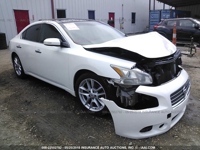 1N4AA5AP3BC849427 - 2011 NISSAN MAXIMA S/SV WHITE photo 1