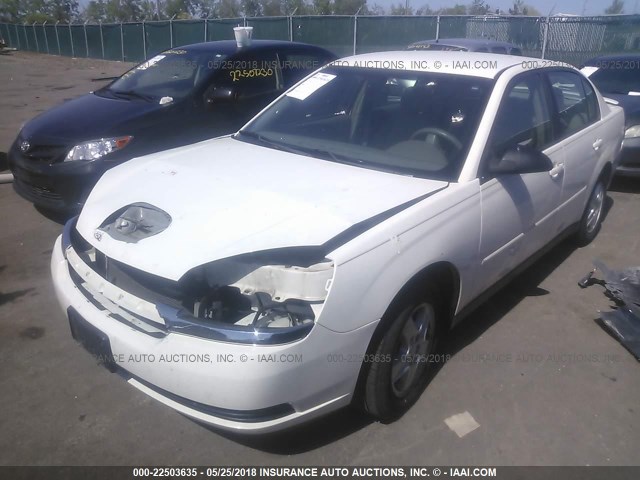 1G1ZS52F05F329908 - 2005 CHEVROLET MALIBU WHITE photo 2