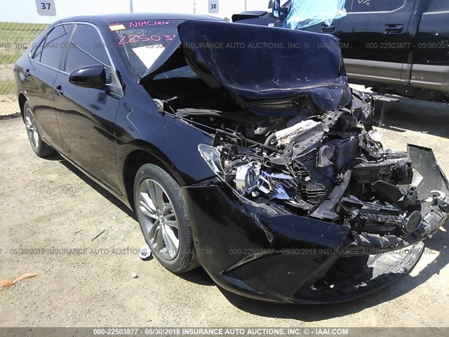 4T1BF1FK7FU001696 - 2015 TOYOTA CAMRY LE/XLE/SE/XSE BLACK photo 1