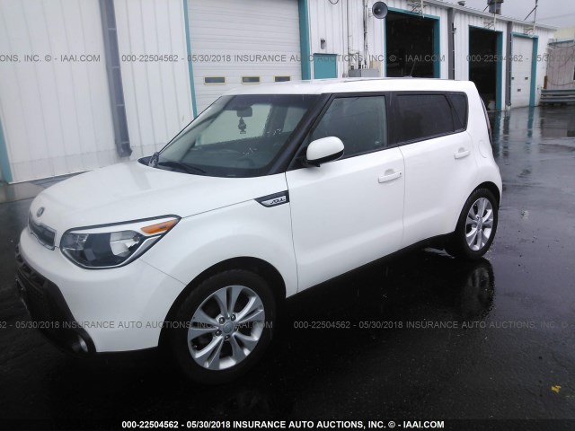 KNDJP3A50G7248746 - 2016 KIA SOUL + WHITE photo 2