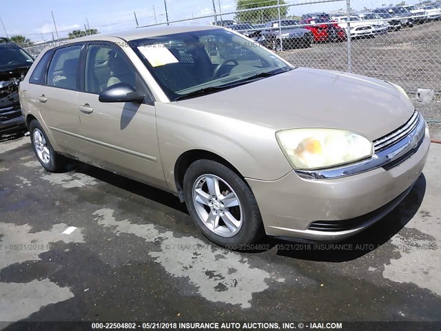 1G1ZT62885F132747 - 2005 CHEVROLET MALIBU MAXX LS 米色 照片 1