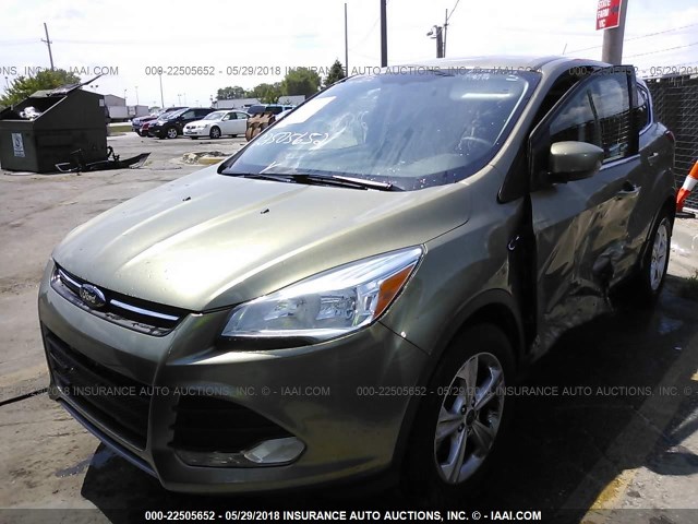 1FMCU0G95DUC78179 - 2013 FORD ESCAPE SE GREEN photo 2