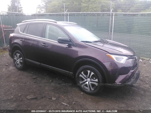 2T3BFREV9GW486488 - 2016 TOYOTA RAV4 LE PURPLE photo 1