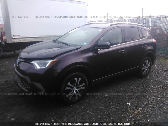 2T3BFREV9GW486488 - 2016 TOYOTA RAV4 LE PURPLE photo 2