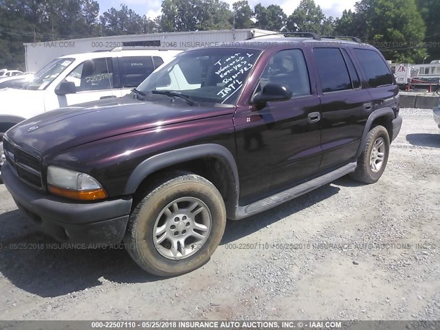 1D4HR38N13F619639 - 2003 DODGE DURANGO SPORT PURPLE photo 2