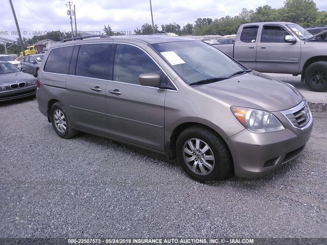 5FNRL38768B404631 - 2008 HONDA ODYSSEY EXL Champagne photo 1