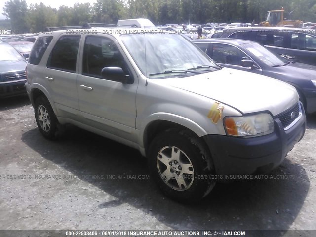 1FMCU94194KB51739 - 2004 FORD ESCAPE LIMITED TAN photo 1