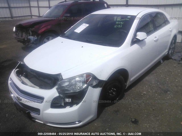 1G1ZC5E18BF395132 - 2011 CHEVROLET MALIBU 1LT 白色 照片 2