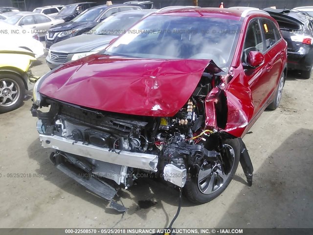 KNDCC3LC5H5102940 - 2017 KIA NIRO EX RED photo 2