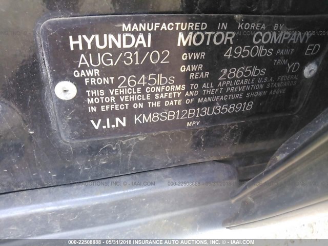 KM8SB12B13U358918 - 2003 HYUNDAI SANTA FE GL BLACK photo 9