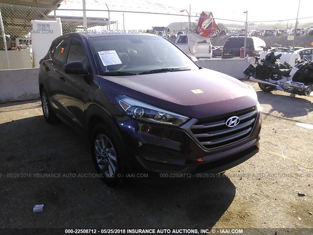 KM8J23A42GU104652 - 2016 HYUNDAI TUCSON SE MAROON photo 1