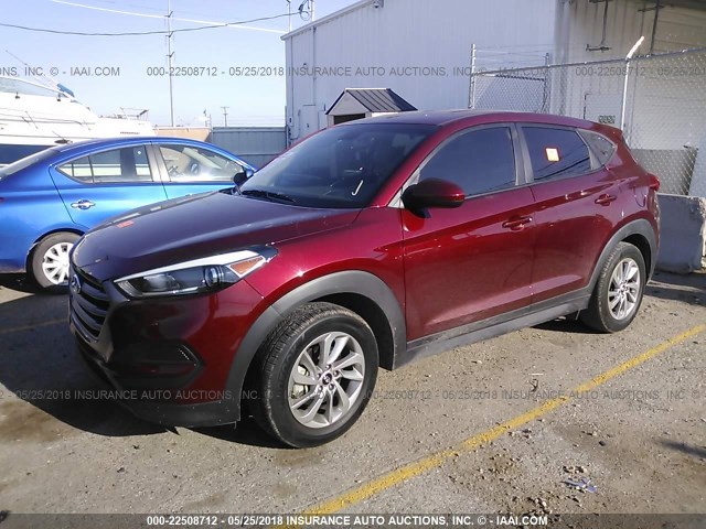 KM8J23A42GU104652 - 2016 HYUNDAI TUCSON SE MAROON photo 2