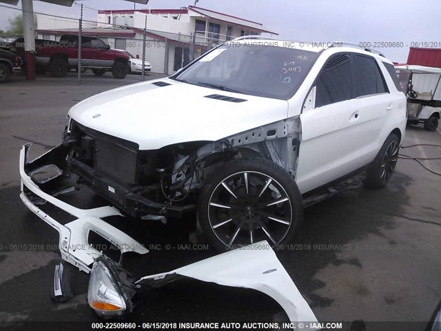 4JGDA5HB4CA026998 - 2012 MERCEDES-BENZ ML 350 4MATIC WHITE photo 2
