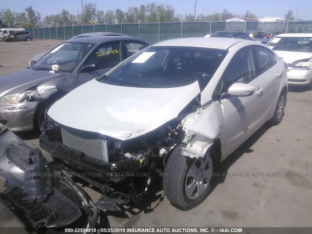 KNAFK4A60E5091860 - 2014 KIA FORTE LX WHITE photo 2