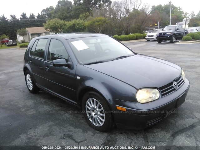 9BWGL61J654007640 - 2005 VOLKSWAGEN GOLF GLS BLUE photo 1