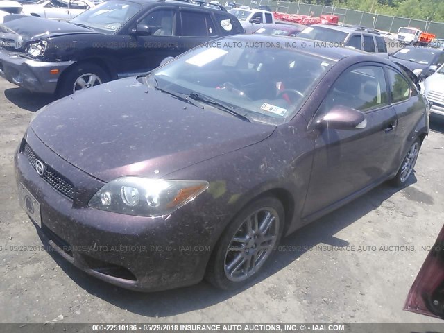 JTKDE3B71A0310568 - 2010 TOYOTA SCION TC 紫色 照片 2