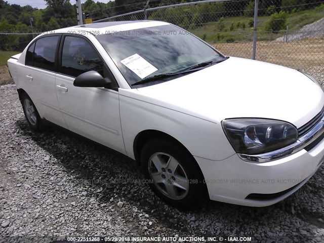 1G1ZT54865F182778 - 2005 CHEVROLET MALIBU LS 白色 照片 1