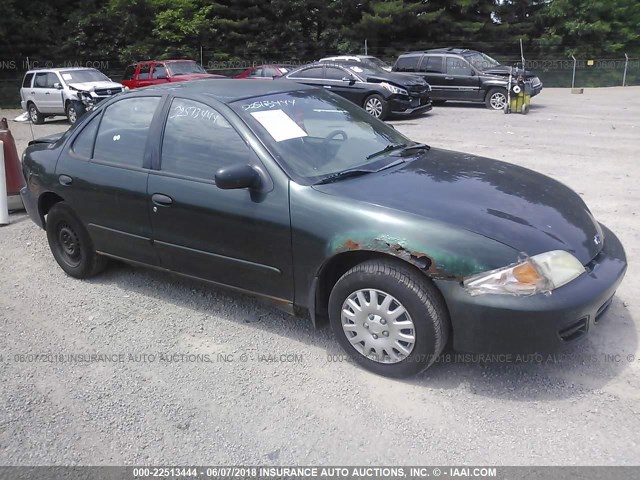 1G1JC524627466785 - 2002 CHEVROLET CAVALIER CNG GREEN photo 1