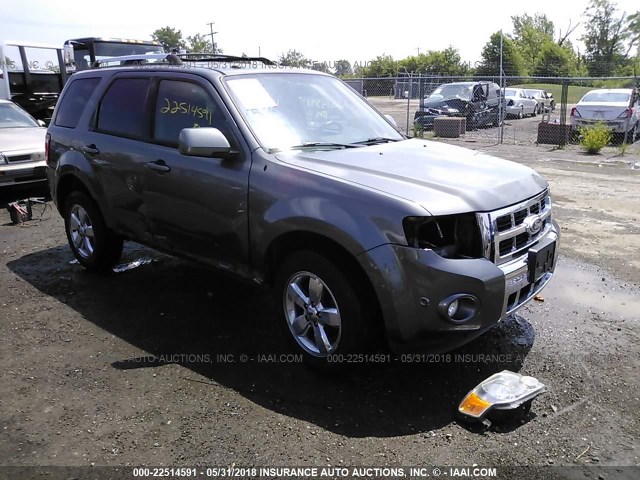 1FMCU9EG0AKB63745 - 2010 FORD ESCAPE LIMITED GRAY photo 1