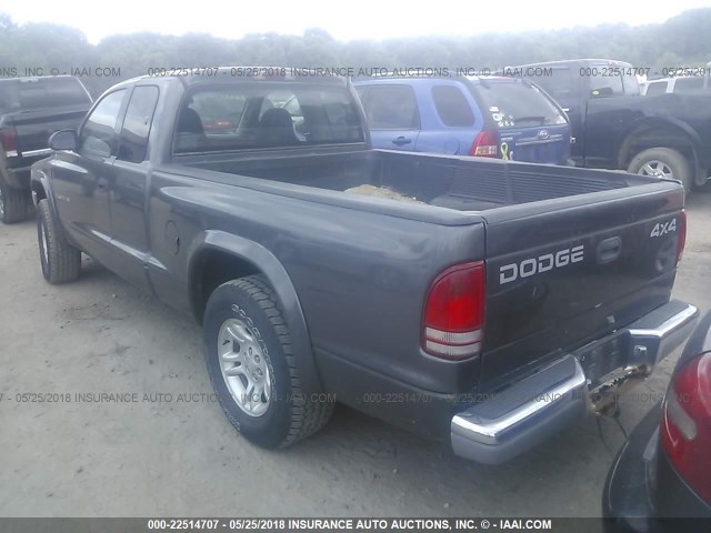 1B7GG22N41S348159 - 2001 DODGE DAKOTA GRAY photo 3