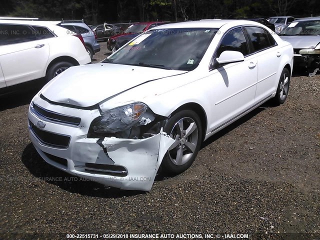 1G1ZC5EU2BF113030 - 2011 CHEVROLET MALIBU 1LT 白色 照片 2