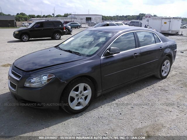 1G1ZA5EU1CF390663 - 2012 CHEVROLET MALIBU LS GRAY photo 2