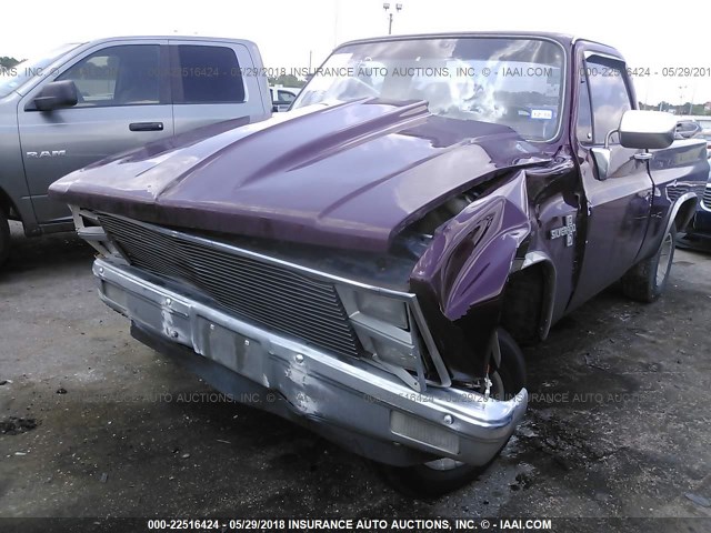 1GCDC14D2BF376842 - 1981 CHEVROLET C10 MAROON photo 6