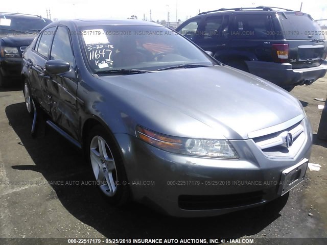 19UUA66215A000733 - 2005 ACURA TL GRAY photo 1