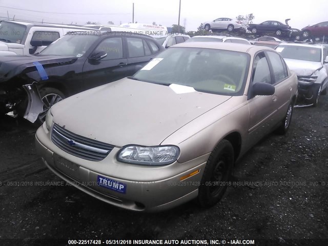 1G1ND52F85M169443 - 2005 CHEVROLET CLASSIC GOLD photo 2