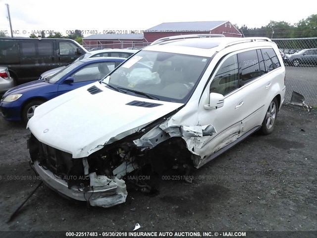 4JGBF7BE9BA636482 - 2011 MERCEDES-BENZ GL 450 4MATIC WHITE photo 2