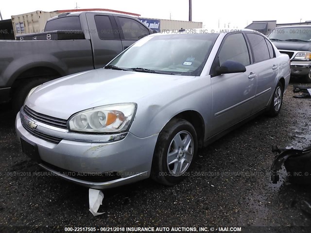 1G1ZT54895F340224 - 2005 CHEVROLET MALIBU LS SILVER photo 2