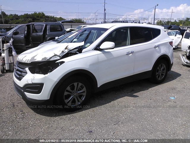 5XYZT3LB5DG122821 - 2013 HYUNDAI SANTA FE SPORT  WHITE photo 2